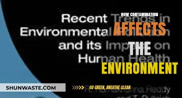 Contamination's Impact: How Pollution Harms Our Environment and Ecosystems