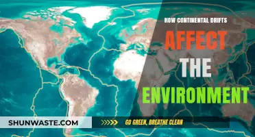 Continental Drift's Impact: Shaping Ecosystems and Global Environmental Changes