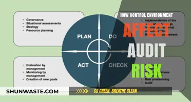 How Control Environments Shape Audit Risk: Key Insights and Strategies
