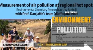 Controlling Environmental Pollution: Strategies for a Sustainable Future