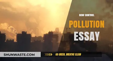 Controlling Pollution: Strategies for a Sustainable Future