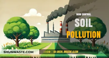 Soil Pollution: Strategies for Control and Prevention