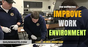 Cooperatives: Fostering Collaboration, Empowerment, and a Positive Work Environment