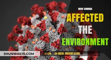 Corona's Impact: Unveiling Environmental Changes During the Pandemic