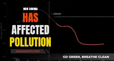 Pandemic Impact: Pollution Levels Plummet During COVID-19 Lockdown