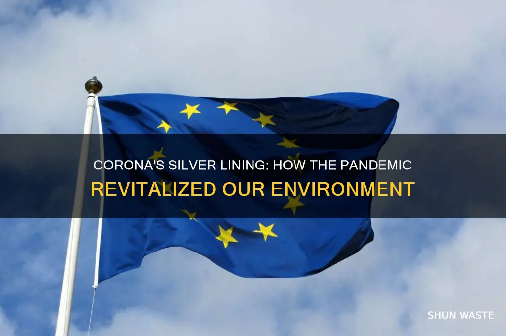 how corona has helped the environment