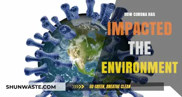 Corona's Unexpected Silver Lining: Environmental Impacts and Lessons Learned
