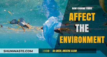 COVID-19's Environmental Impact: Positive Changes and Long-Term Effects