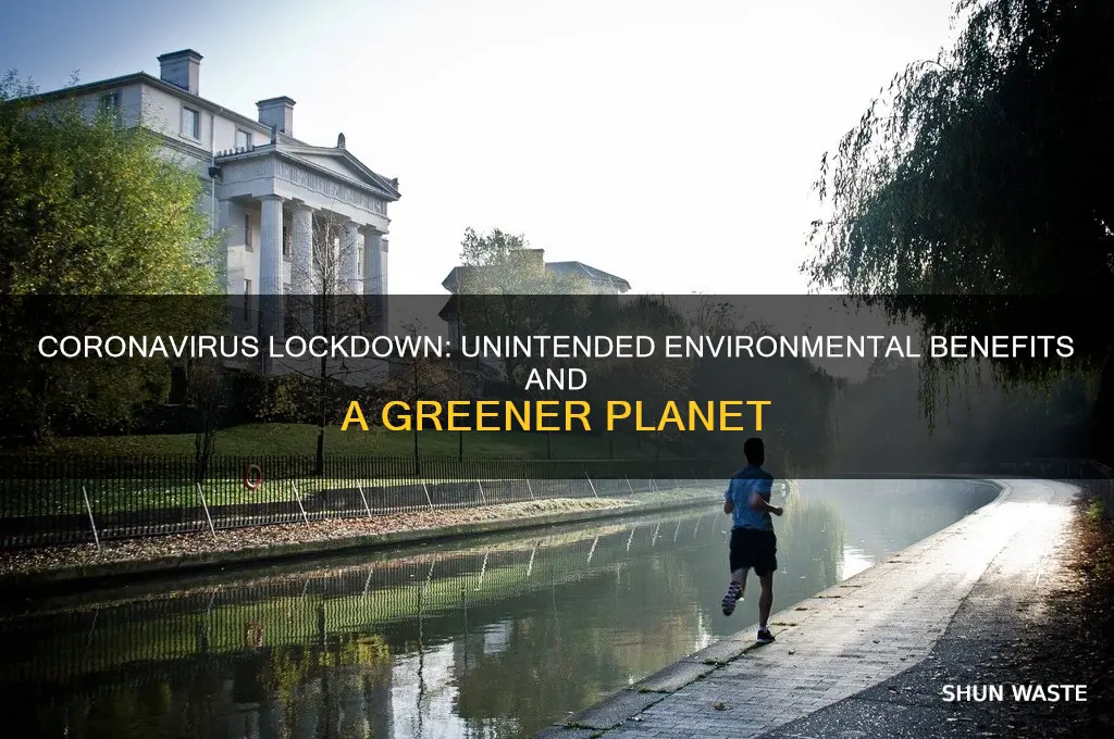 how corona virus is helping the environment