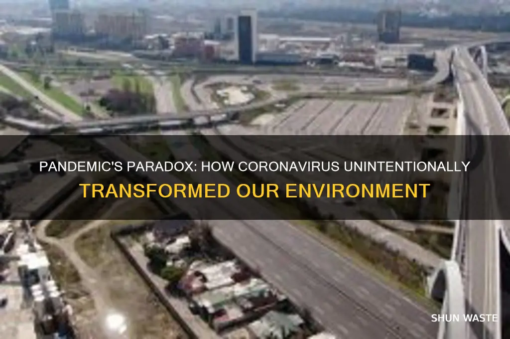 how coronavirus changed the environment