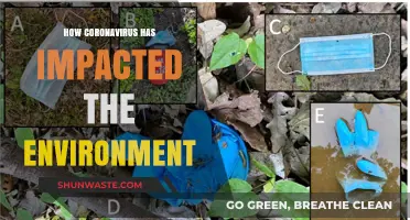 Coronavirus' Environmental Impact: A Silver Lining Amidst the Pandemic?