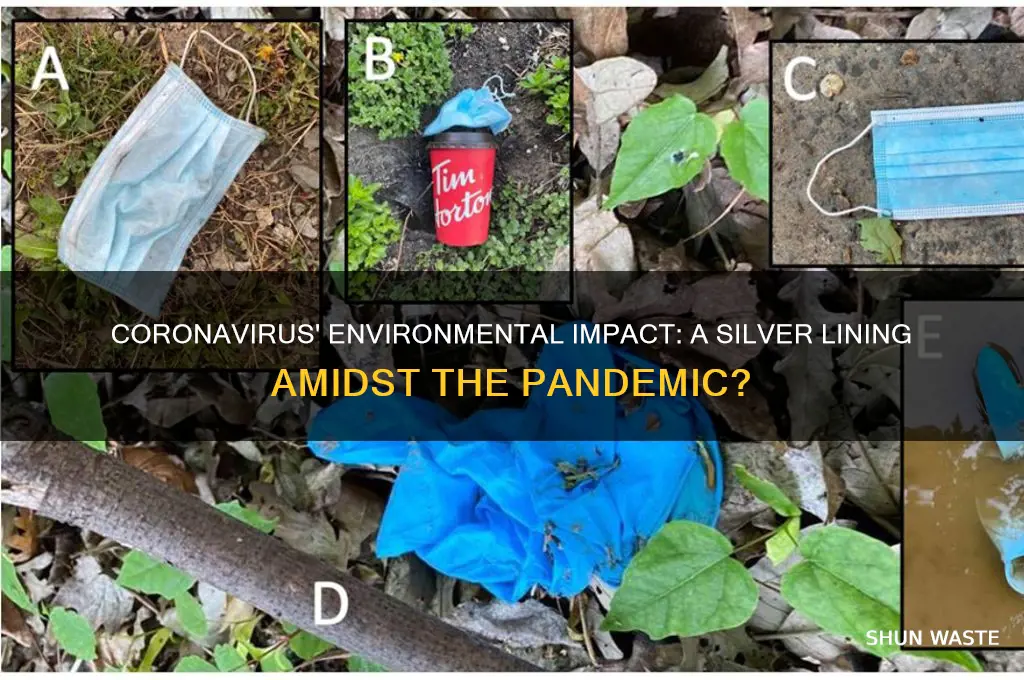 how coronavirus has impacted the environment