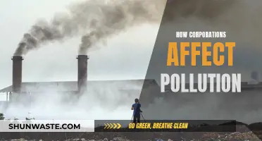 Corporations' Impact on Pollution: A Global Concern