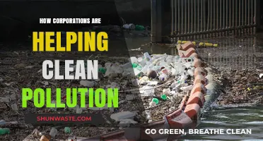 Corporations' Innovative Solutions to Combat Pollution