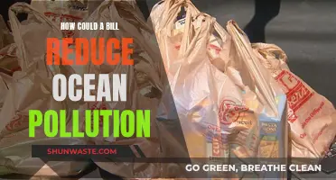 Reducing Ocean Pollution: The Impact of a New Bill