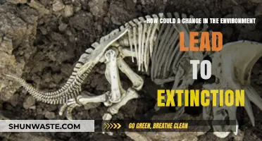 Environmental Shifts: Unraveling the Path to Species Extinction