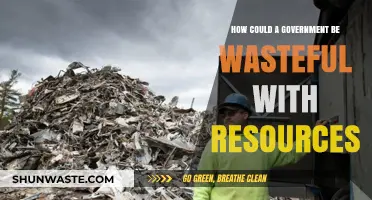 Government Resource Waste: Inefficient Spending and Mismanagement Explained