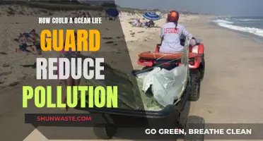 Ocean Lifeguards: Protecting Beachgoers and the Environment