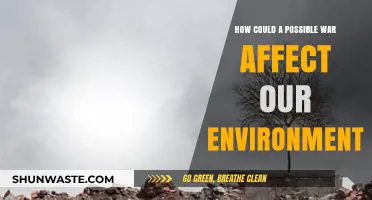 War's Devastating Impact: How Conflict Threatens Our Fragile Environment