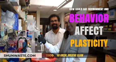 Age, Environment, and Behavior: Unraveling Their Impact on Brain Plasticity