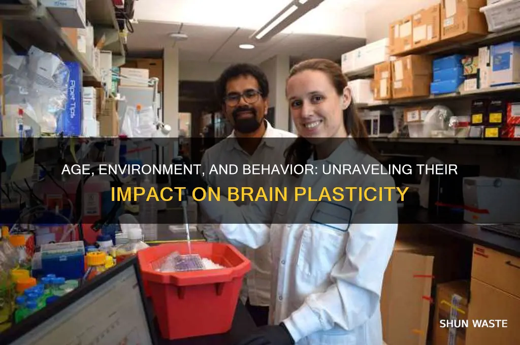 how could age environment and behavior affect plasticity