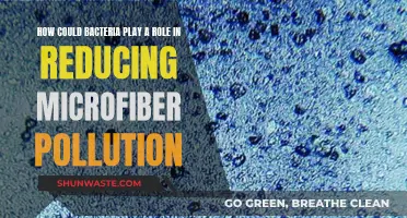 Bacteria: A Natural Solution to Microfiber Pollution