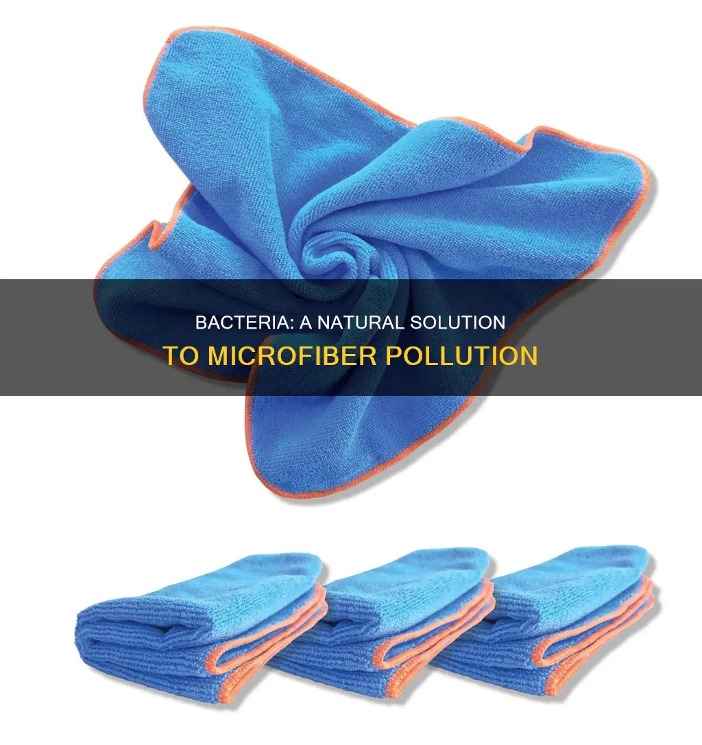 how could bacteria play a role in reducing microfiber pollution