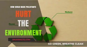 Pollution's Harmful Impact: Understanding Environmental Threats