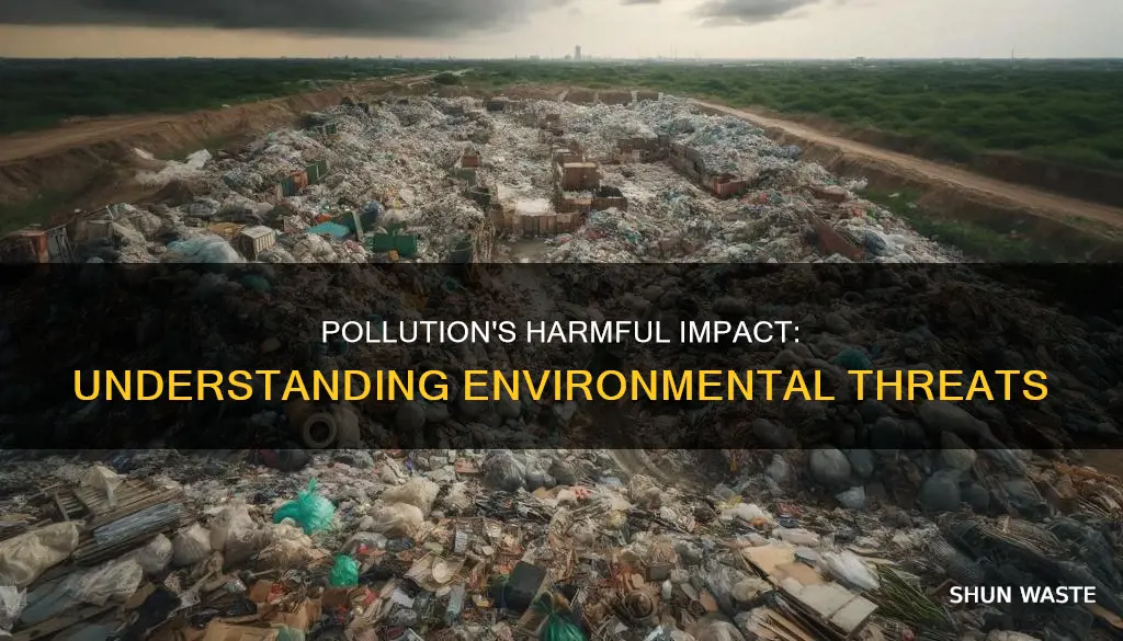 how could basic pollutants hurt the environment