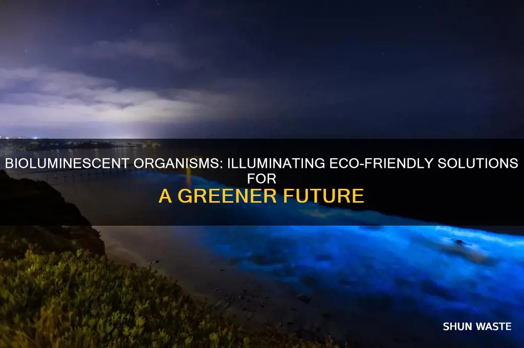 how could bioluminescent organisms help the environment