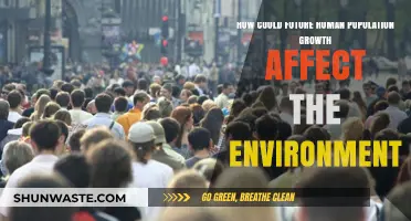 Future Population Growth: Environmental Impacts and Sustainability Challenges Ahead