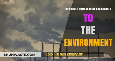 Human Actions Harming Nature: Uncovering Our Destructive Environmental Impact
