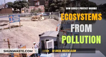 Protecting Marine Life: Pollution Prevention Strategies