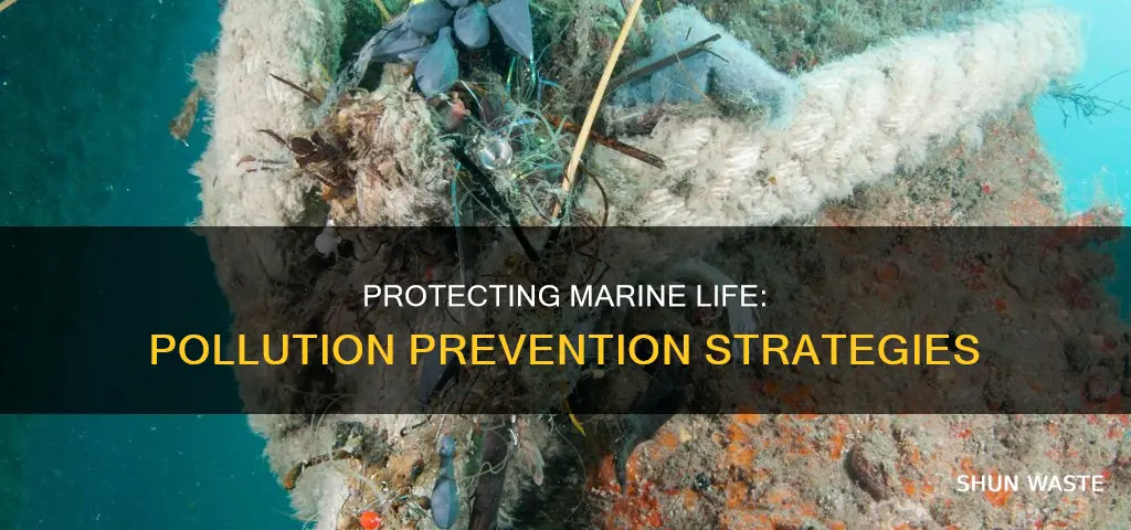 how could i protect marine ecosystems from pollution
