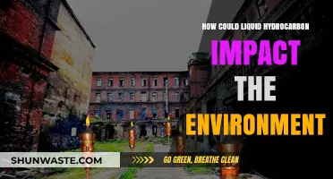 Liquid Hydrocarbons: Environmental Impacts and Long-Term Ecological Consequences
