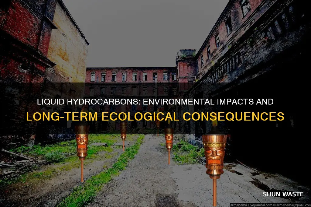 how could liquid hydrocarbon impact the environment