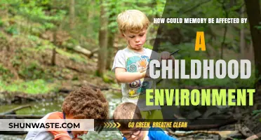 Childhood Environment's Impact: Shaping Memory and Long-Term Cognitive Development