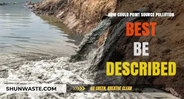 Understanding Point Source Pollution: Origins and Impacts