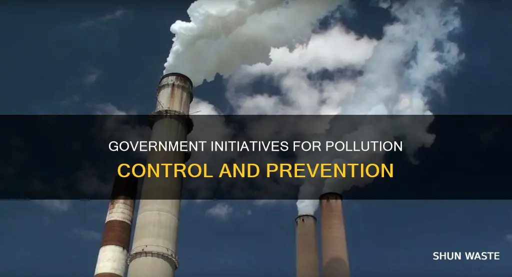 how could the government help prevent pollution
