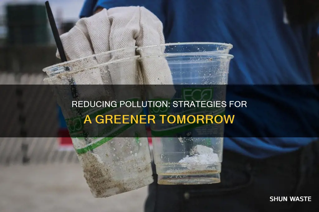 how could we reduce pollution