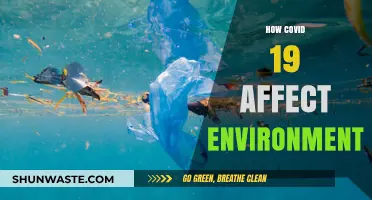 COVID-19's Environmental Impact: Positive Changes and Long-Term Challenges