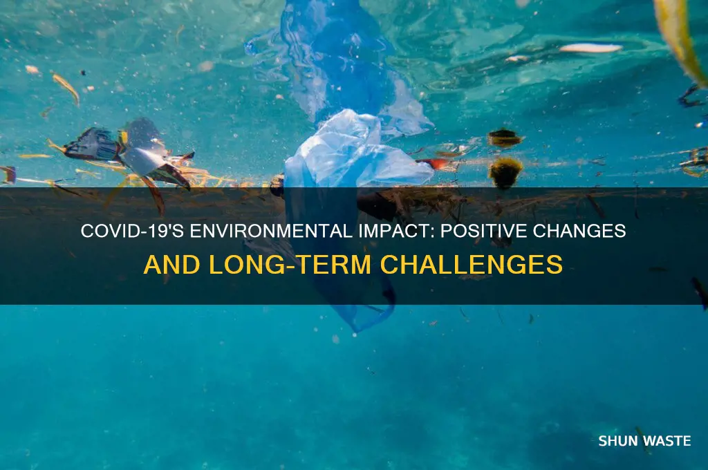 how covid 19 affect environment
