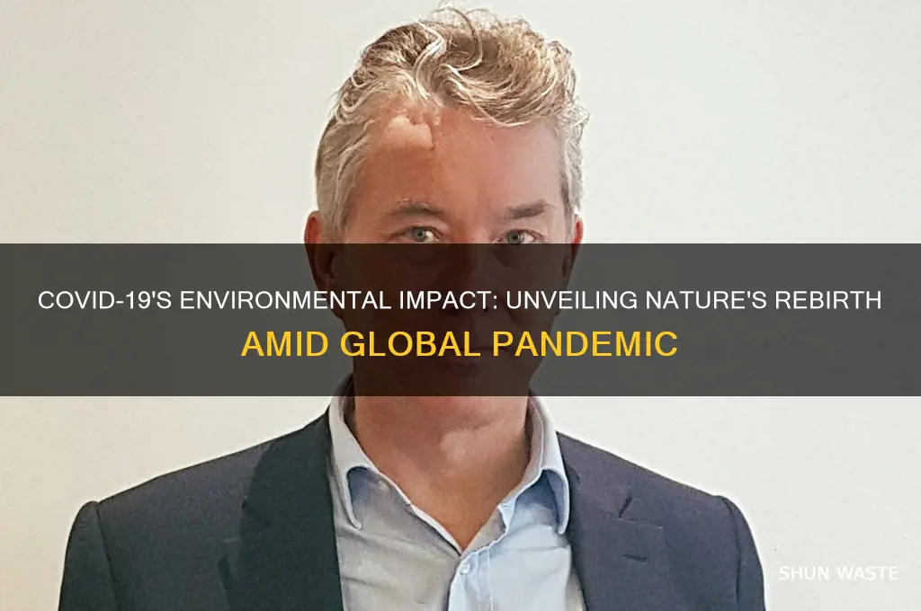 how covid 19 changed the environment