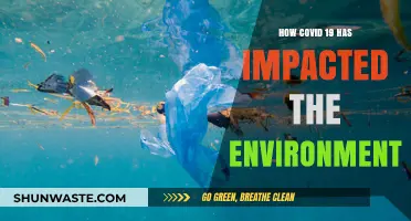 COVID-19's Environmental Impact: Unraveling the Pandemic's Green Legacy
