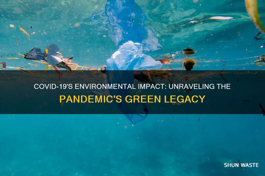 how covid 19 has impacted the environment
