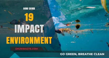 COVID-19's Environmental Impact: A Silver Lining Amidst the Pandemic