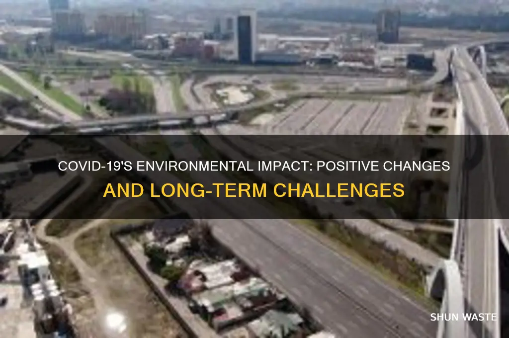 how covid affect environment