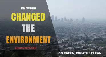 COVID's Impact: Unveiling the Pandemic's Surprising Environmental Transformations