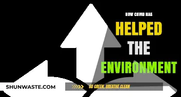 COVID's Silver Lining: Unveiling the Pandemic's Positive Environmental Impact
