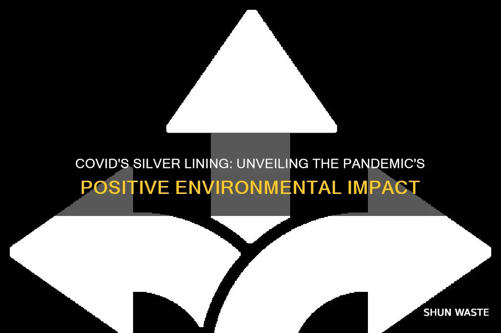 how covid has helped the environment